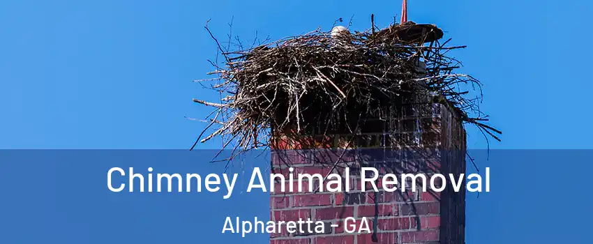 Chimney Animal Removal Alpharetta - GA