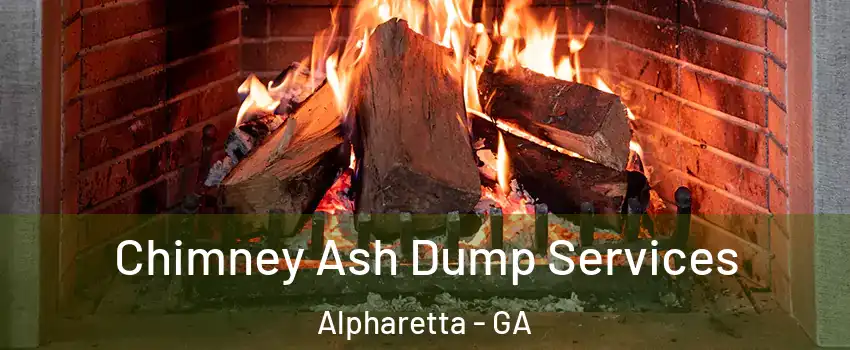  Chimney Ash Dump Services Alpharetta - GA