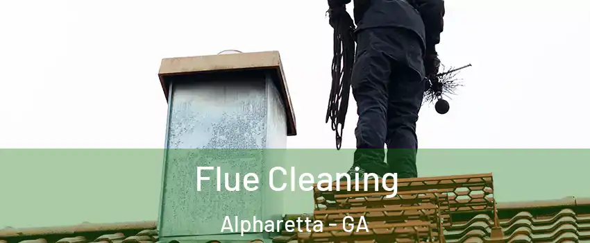  Flue Cleaning Alpharetta - GA