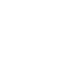 Professional Chimney Flue Installation in Alpharetta, Georgia