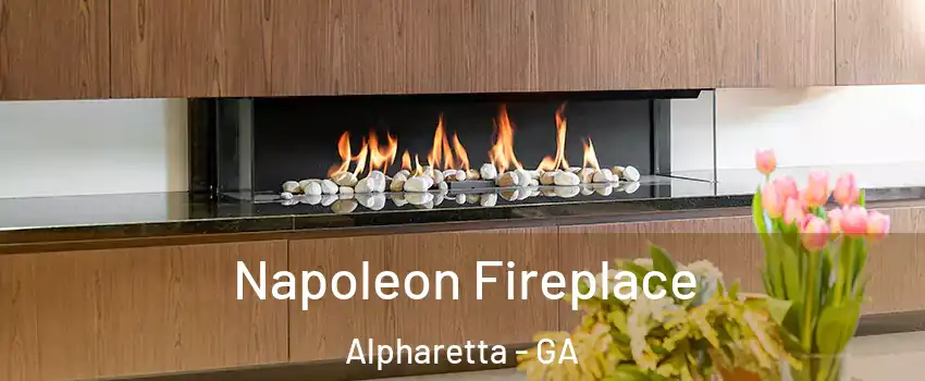  Napoleon Fireplace Alpharetta - GA